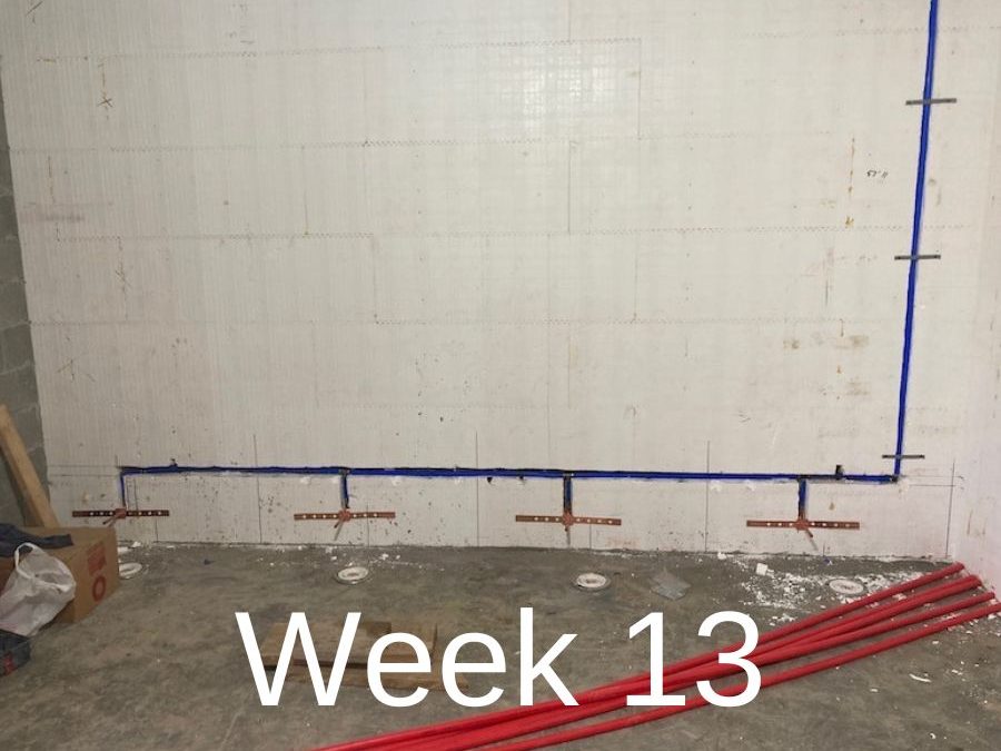 Bathhouse Week 13 Update