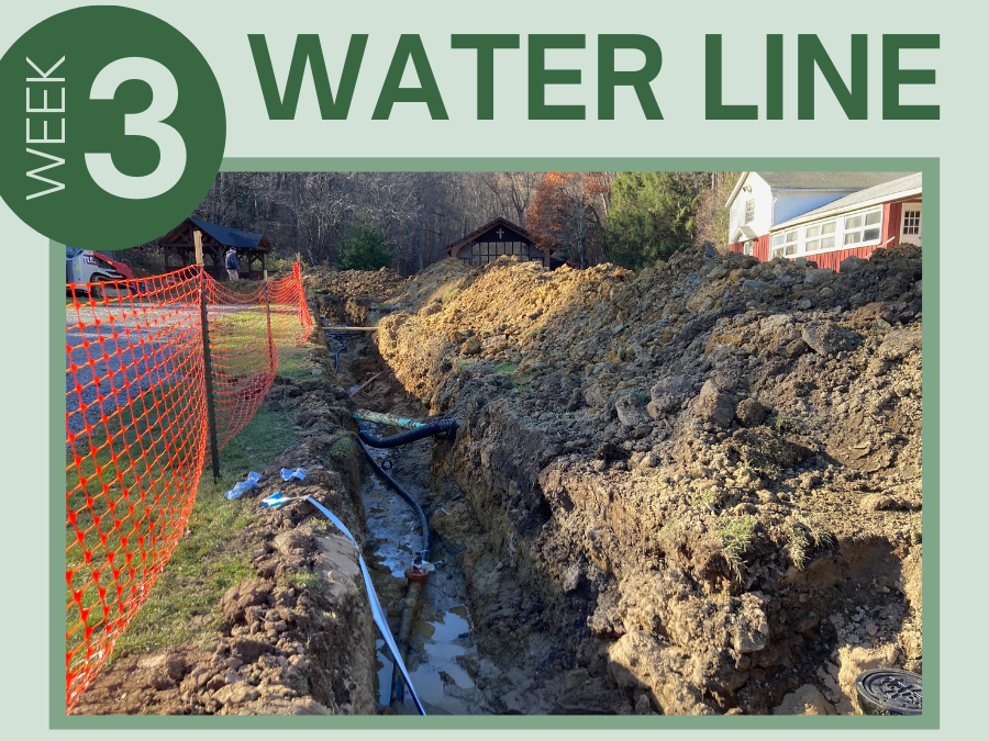 Water Line Week 3 Update