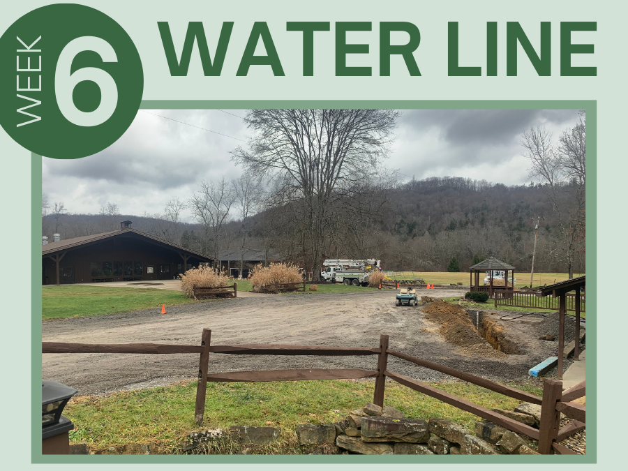 Water Line Update #6