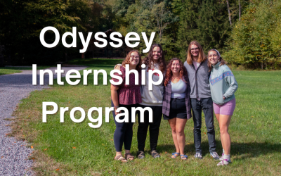 Odyssey Internship Progam