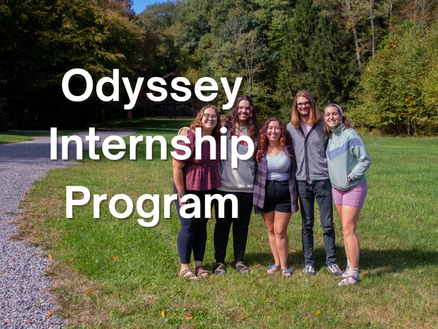 Odyssey Internship Progam